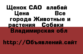 Щенок САО (алабай) › Цена ­ 10 000 - Все города Животные и растения » Собаки   . Владимирская обл.